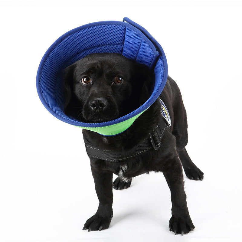 Pet Recovery Collar