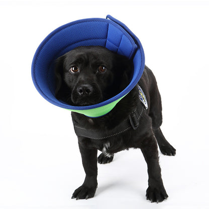 Pet Recovery Collar