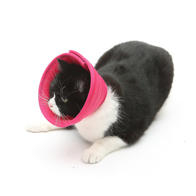 Pet Recovery Collar
