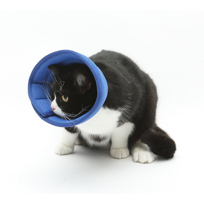 Pet Recovery Collar