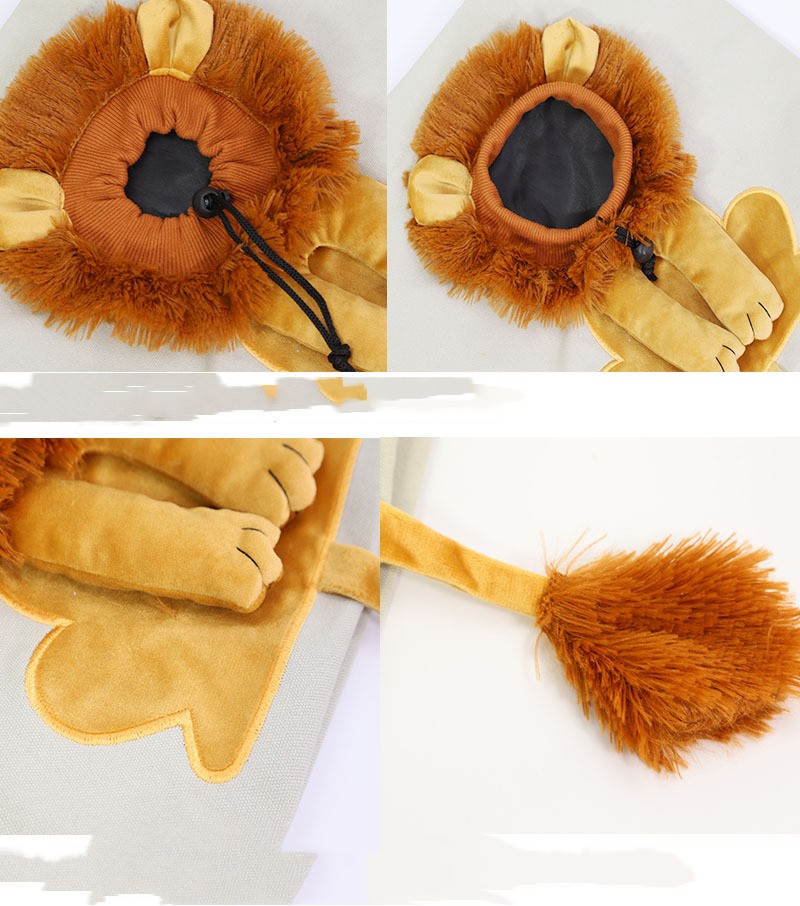 Lion Design Pet Carrier Bag