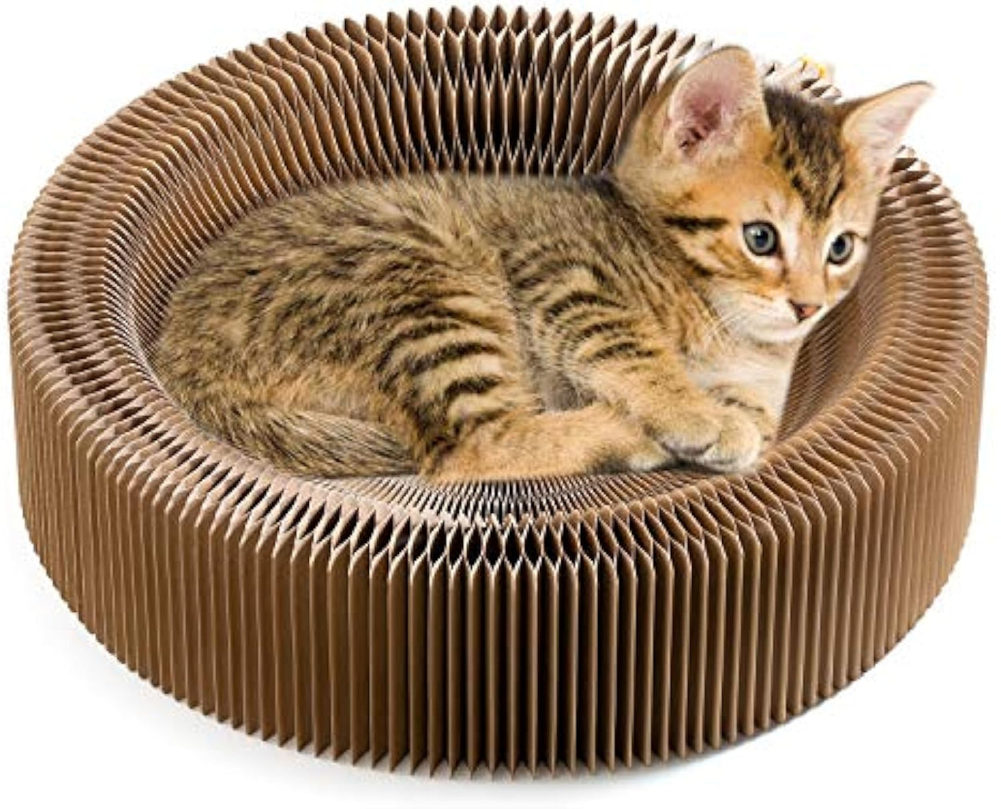 Round Cat Scratcher Lounge Bed