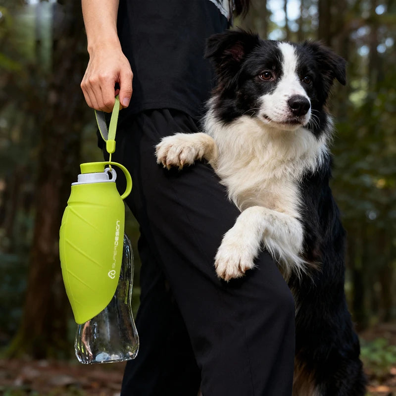 Superdesign Large Capacity Foldable Dog Water Bottle - Portable Design, Leak-Proof and Durable Material, Ergonomic Handle and Strap, 20 Ounces Suitable for Camping, Hiking, Outdoor Adventures, Pet Hydration Equipment, Stylish